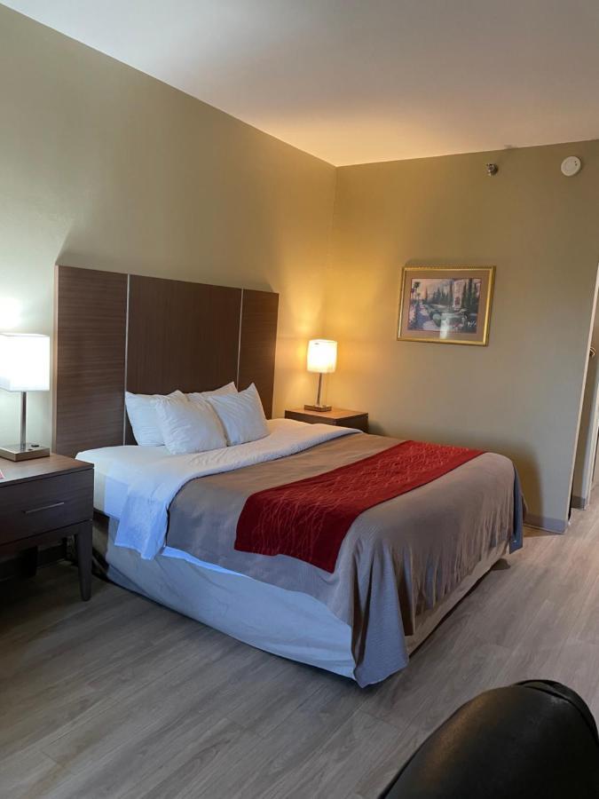 King Room - Non-Smoking
