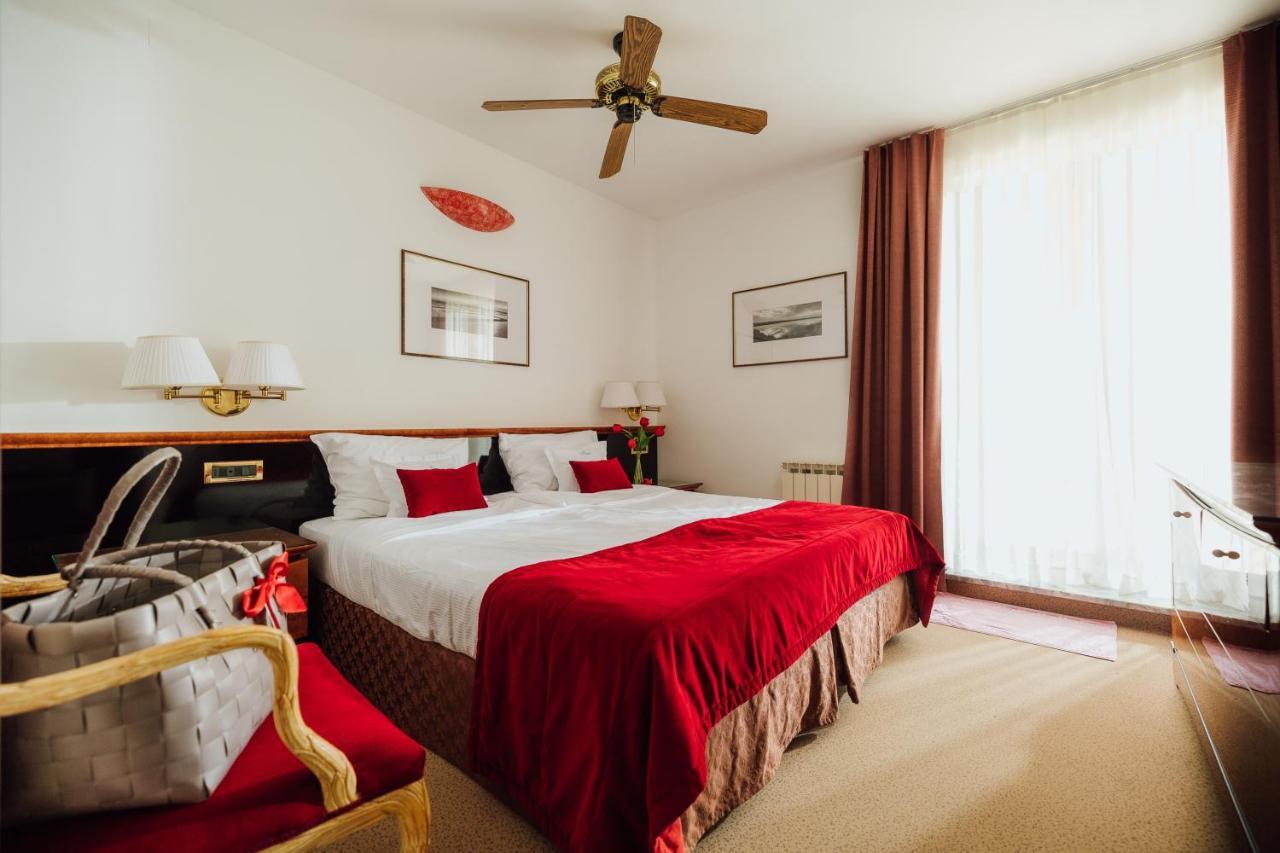 Comfort Double or Twin Room Terrace