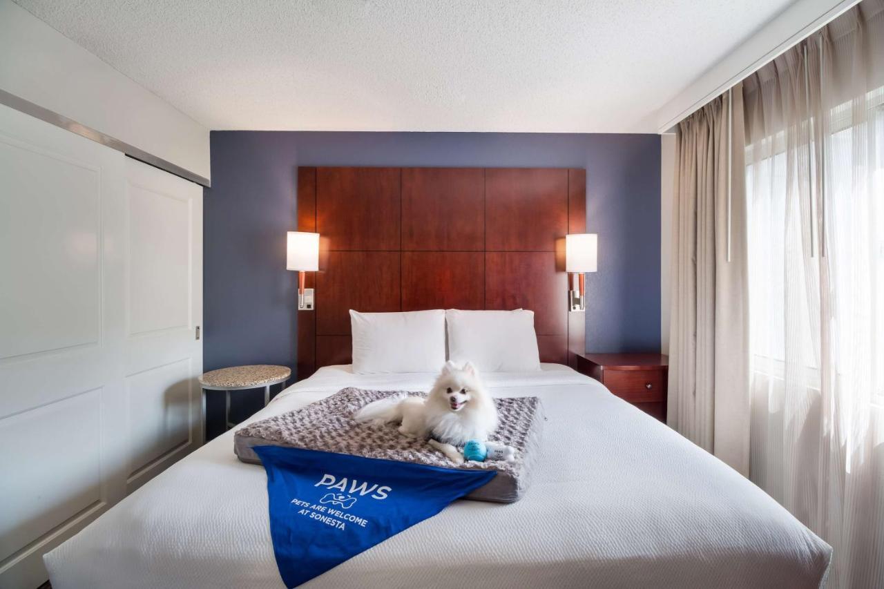 Two Bedroom Suite Two King Beds
