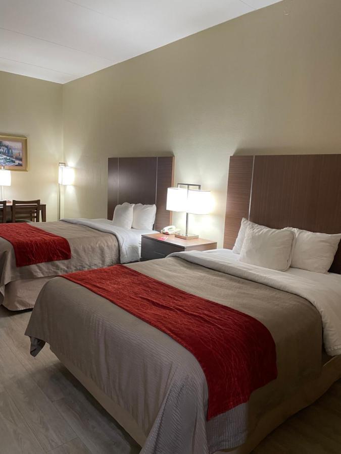 Queen Room Two Queen Beds Non-Smoking