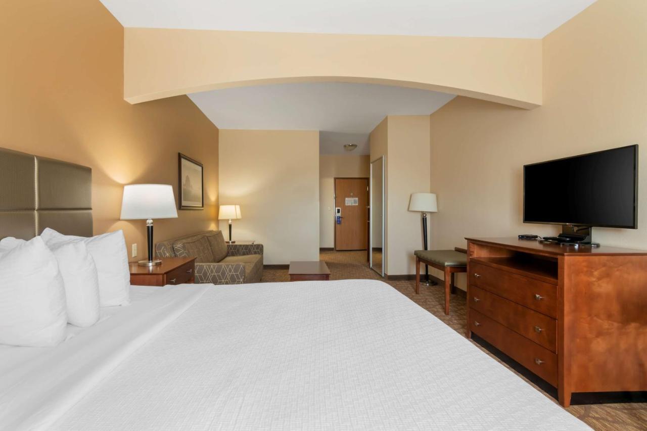 King Room Pet Friendly or Non-Smoking