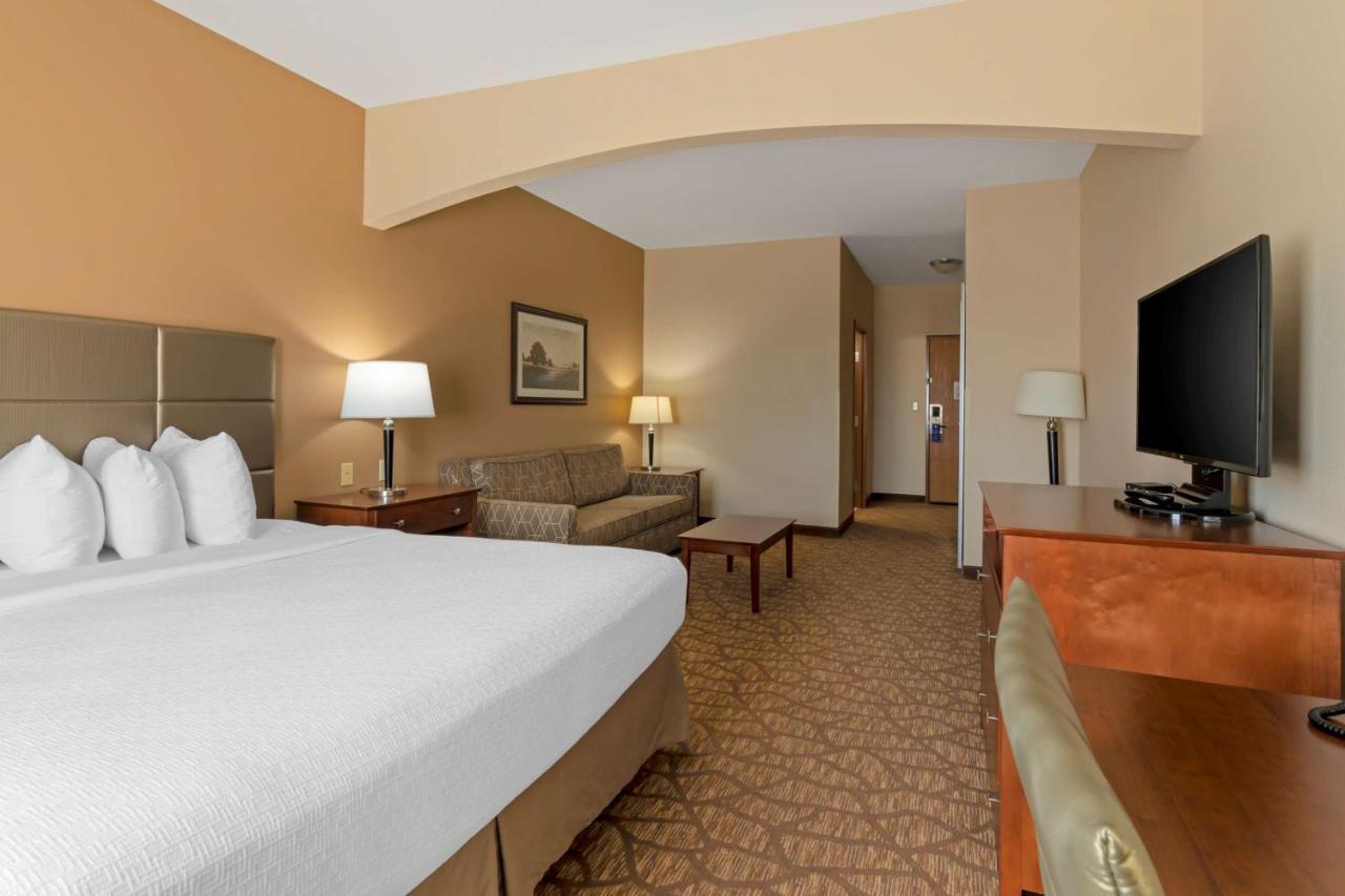 King Room Pet Friendly or Non-Smoking