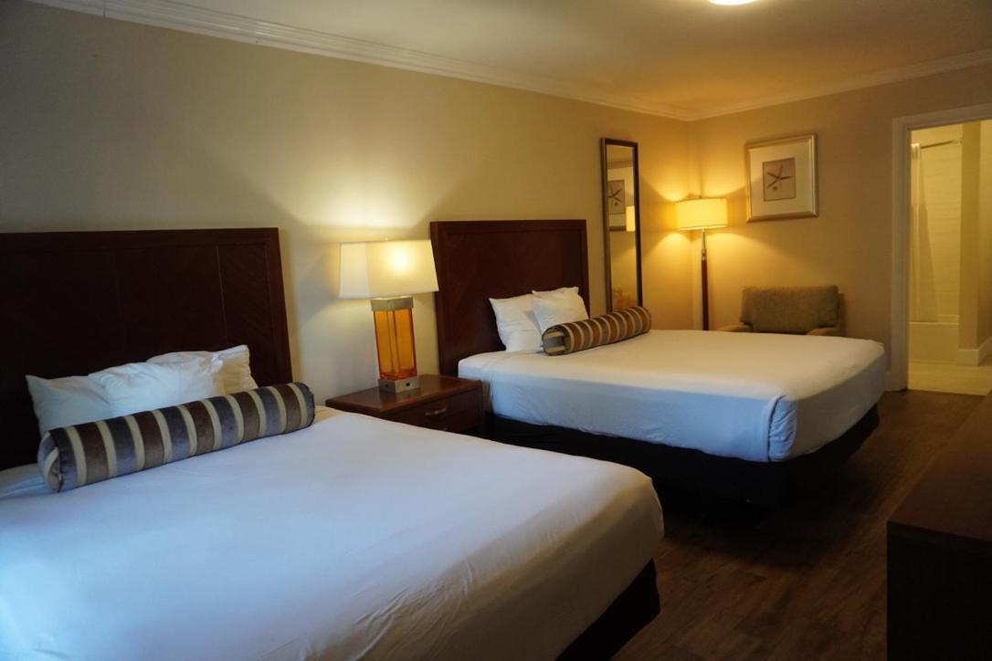 Kamer met 2 Queensize Bedden