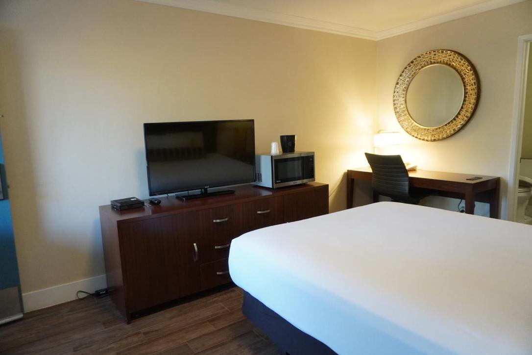 Queen Room,1328092394:JPEG