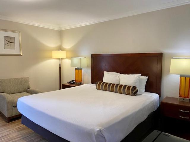 Kamer met Kingsize Bed