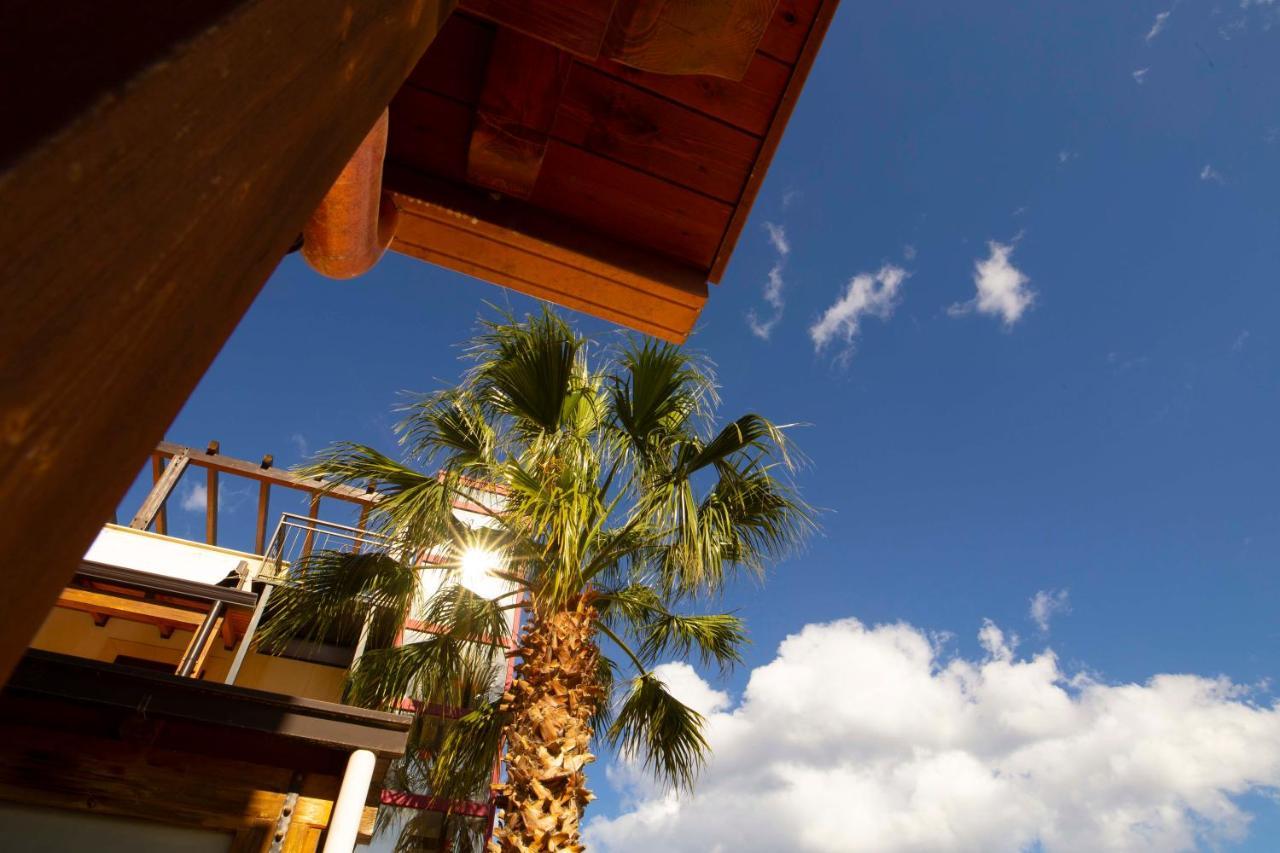 Suite Terrace