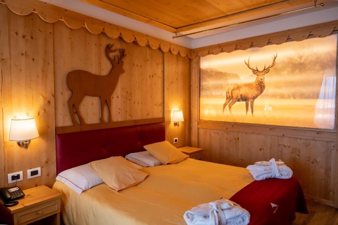 Superior Double or Twin Room,1341301202:JPEG