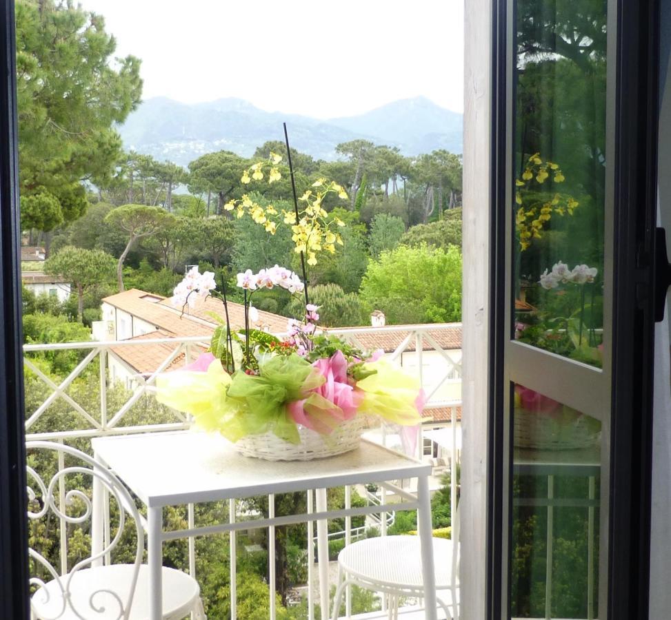 Standard Single Room with Mountain View,1583650309:JPEG