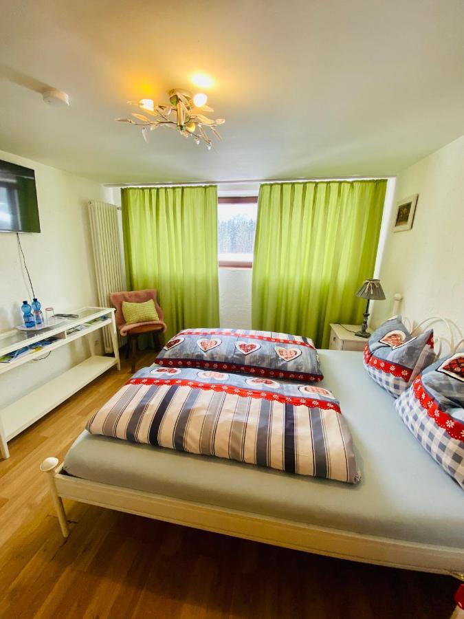 Double Room Mountain View