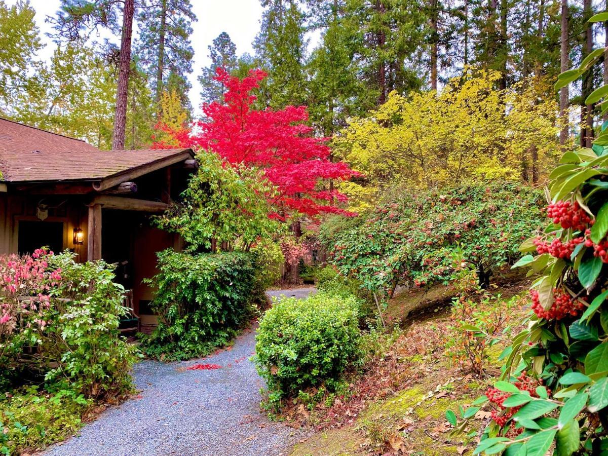 Cabin Queen Bed River View