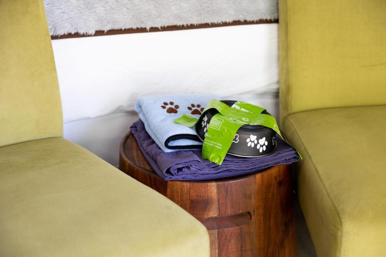 Queen Room Pet Friendly,1363306976:JPEG