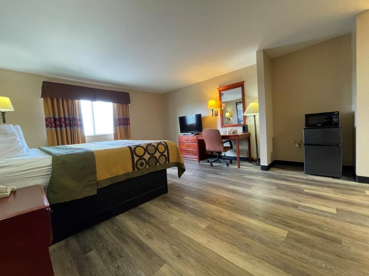 King Room Pet Friendly or Non-Smoking