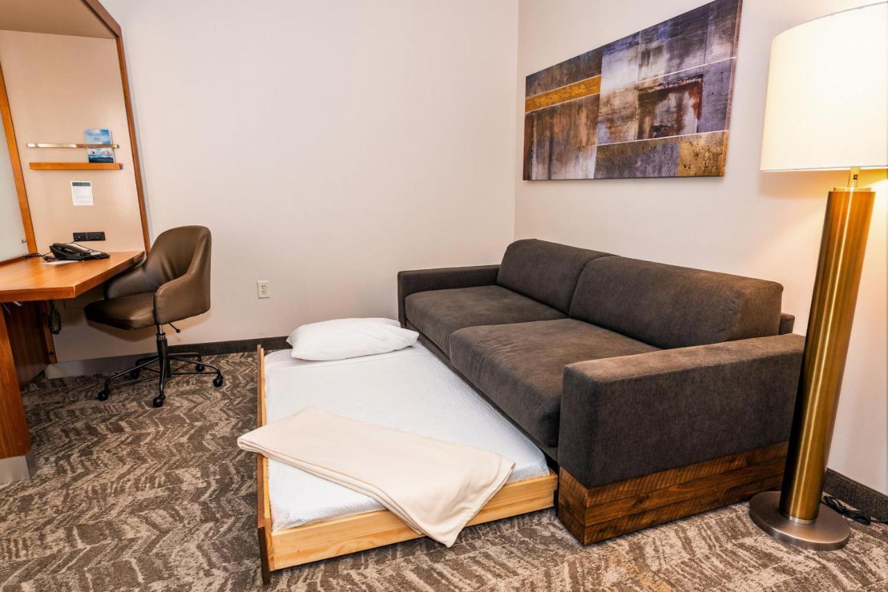 King Suite Trundle Sofa,1381222730:JPEG