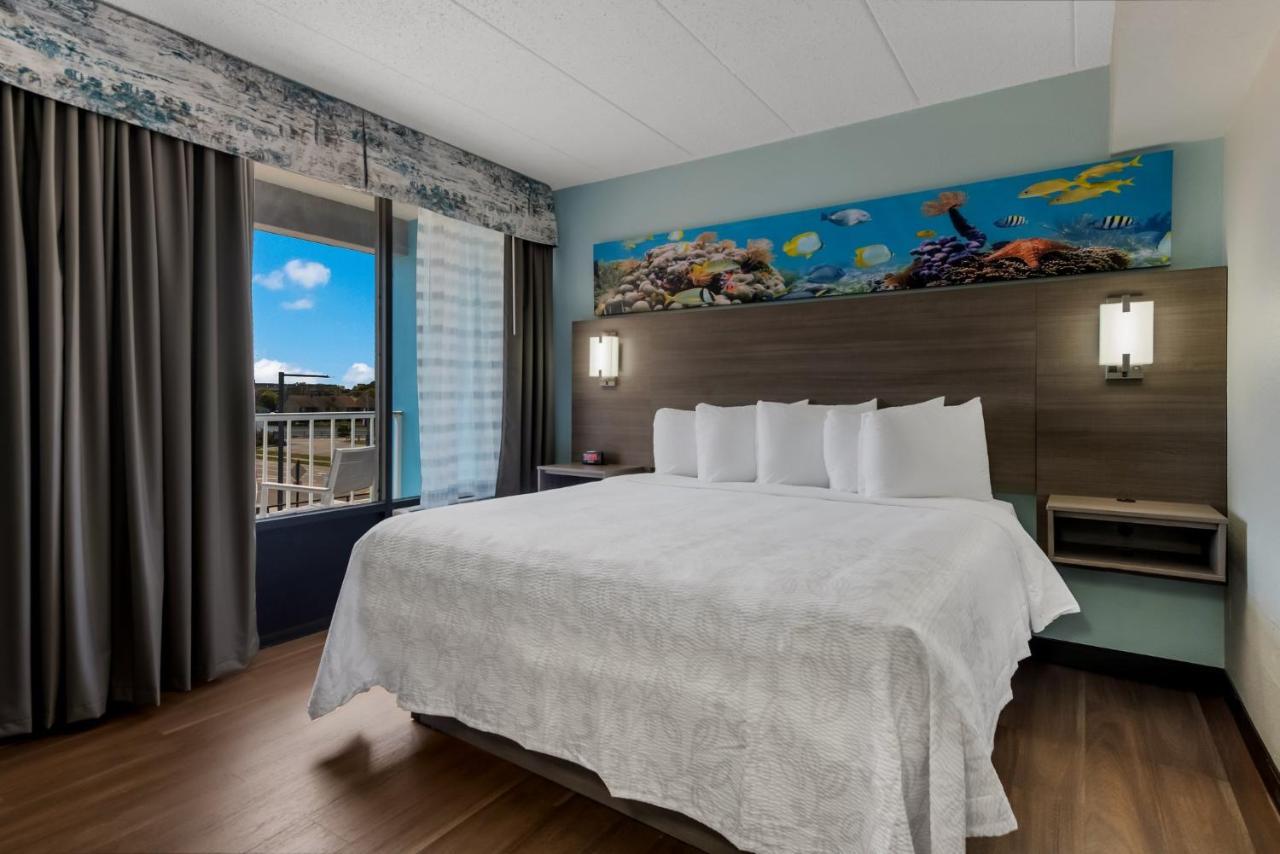 Premium King Room Disability Access Partial Ocean View Smoke,1384464203:JPEG