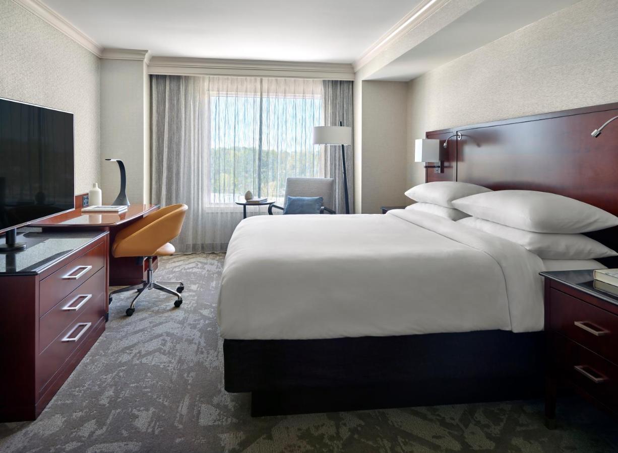 1 Bedroom Suite 1 King