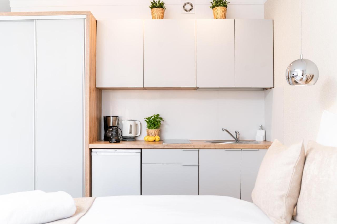 Deluxe Apartment Two People Kitchenette