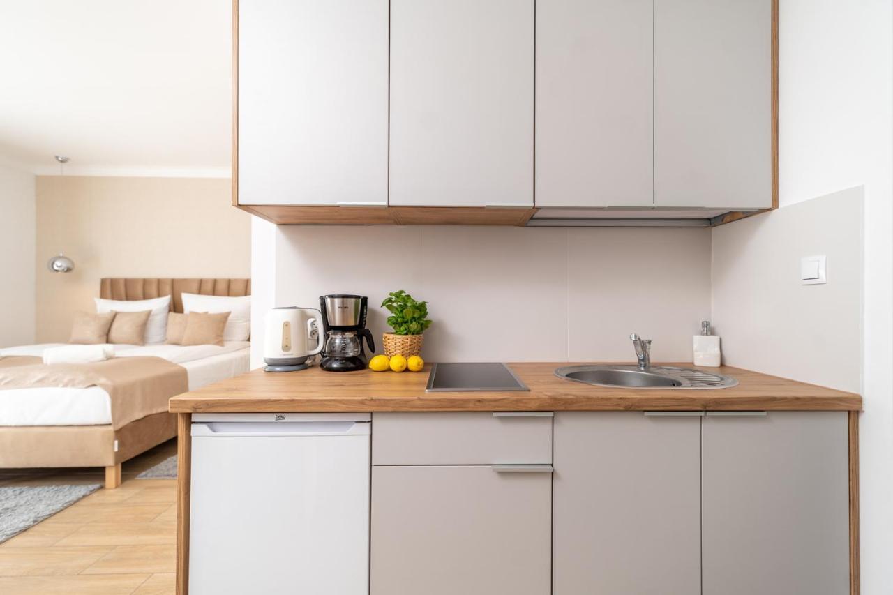 Deluxe Apartment Two People Kitchenette