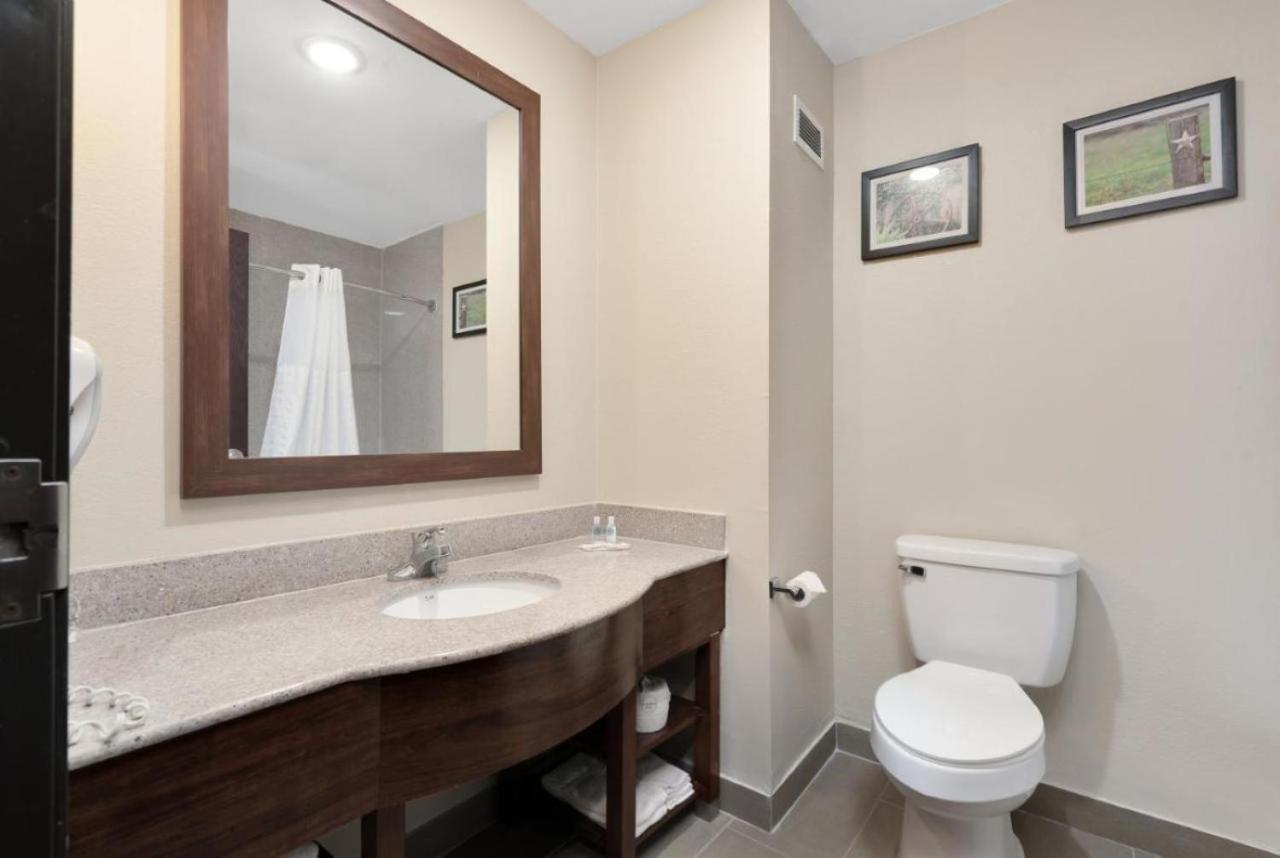 King Suite Disability Access or Non-Smoking
