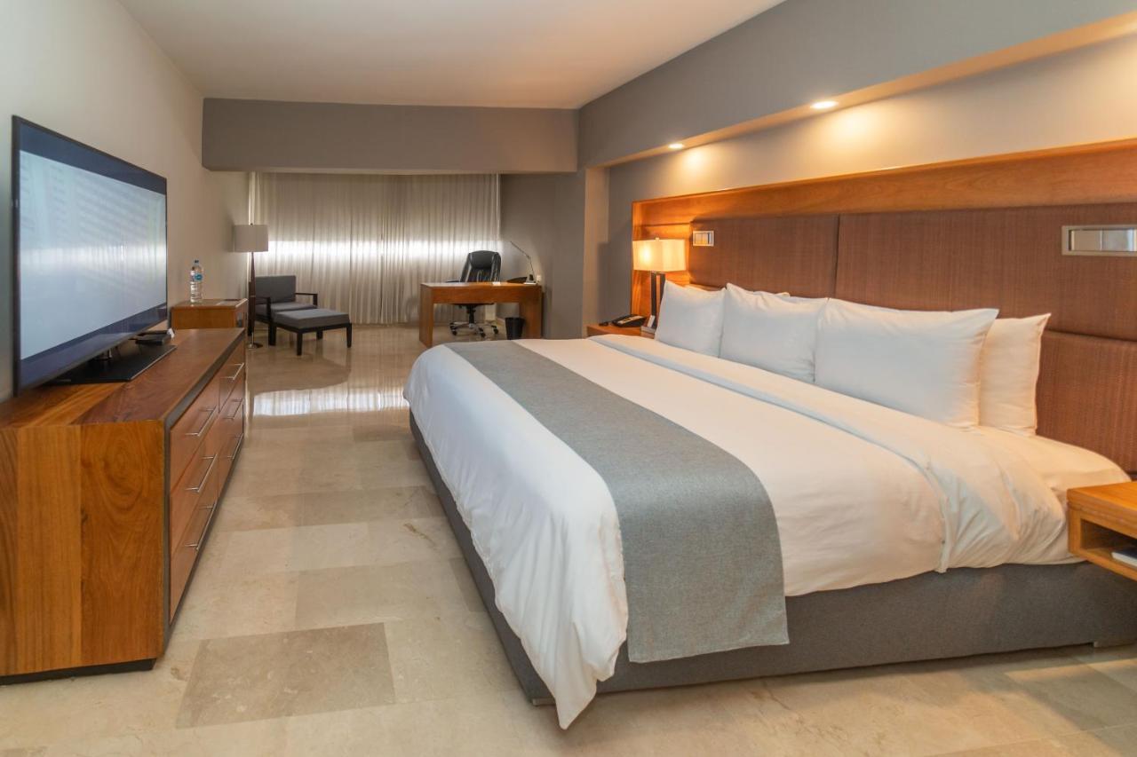 Premium One-Bedroom King Suite Sofa Bed Non-Smoking