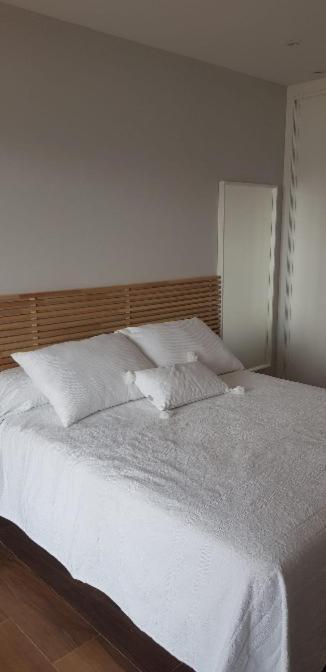 Two-Bedroom Deluxe Apartment Ocean View