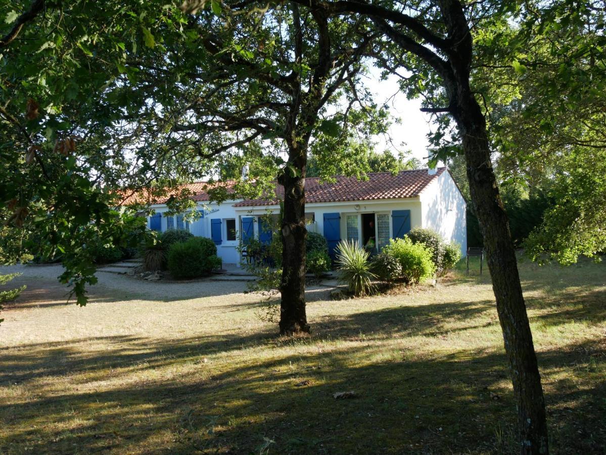 Cottage