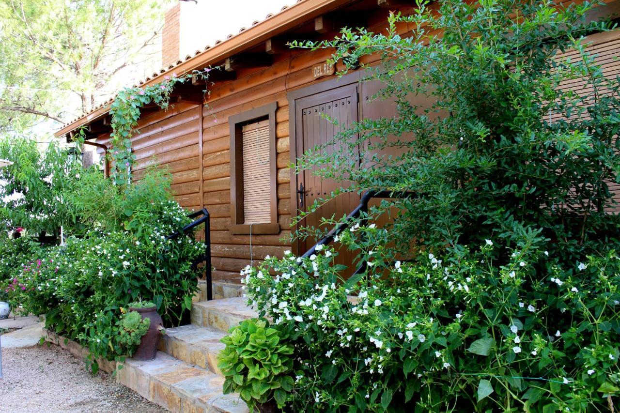 Suite Garden View