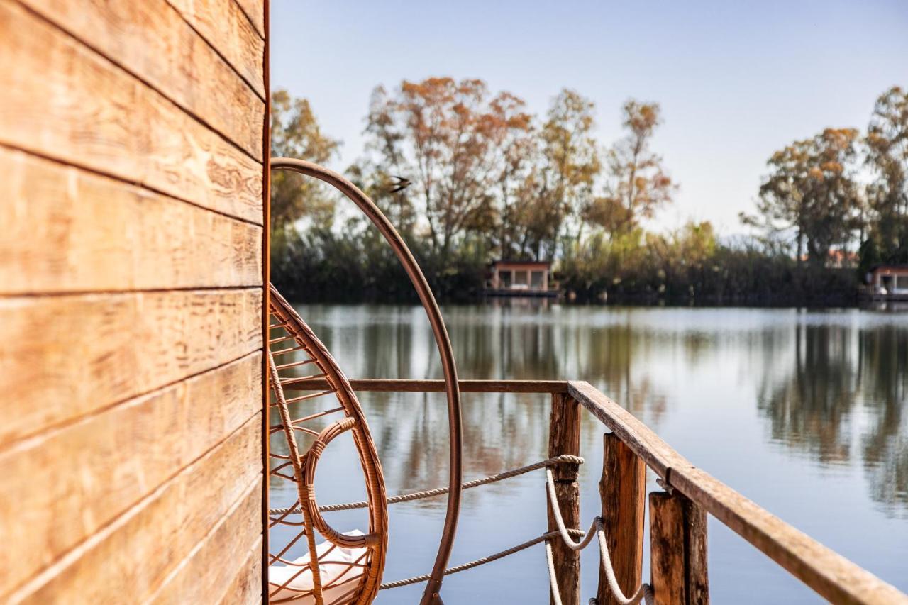 Cottage Lake View