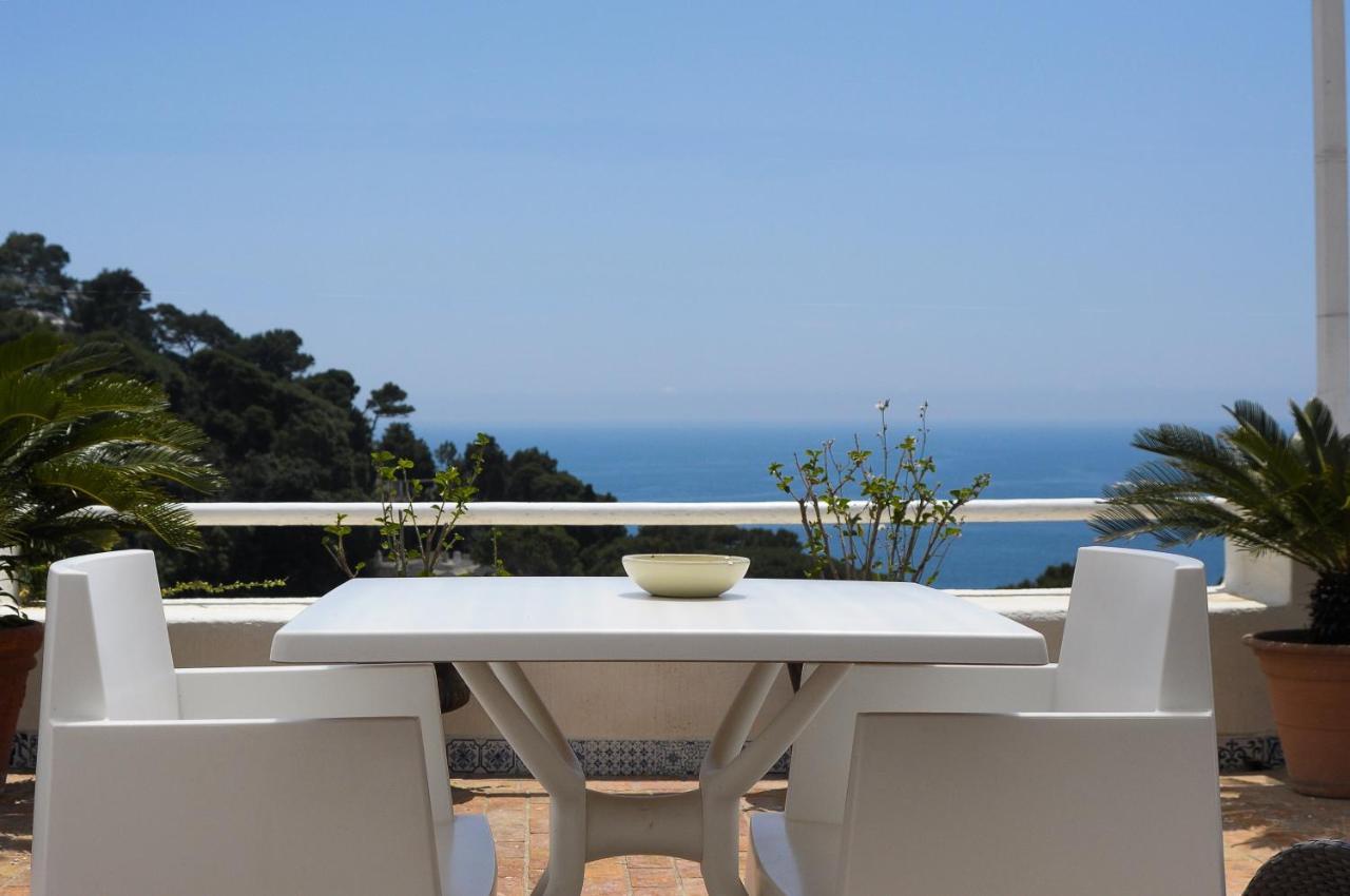 Junior Suite Terrace