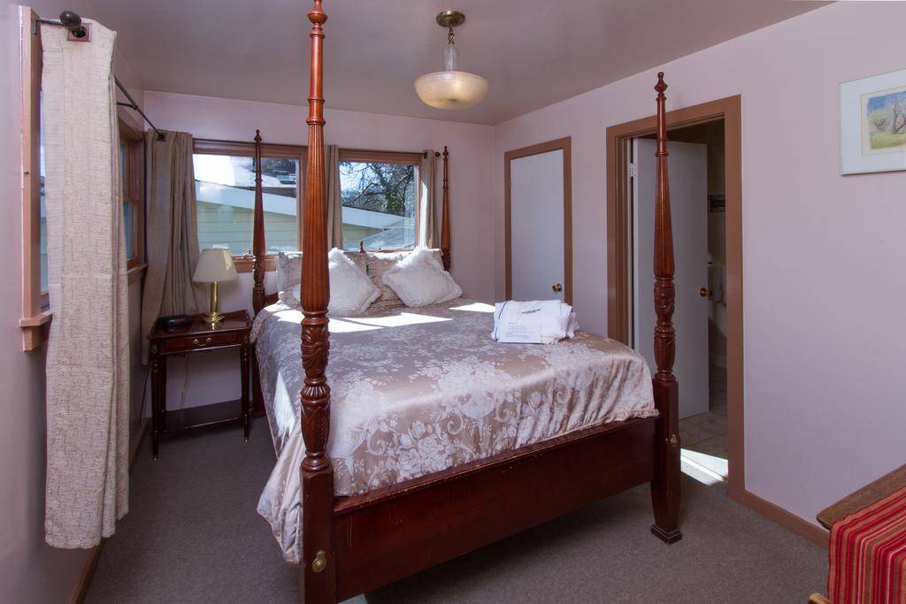 Queen Suite Sofa Bed Pet Friendly