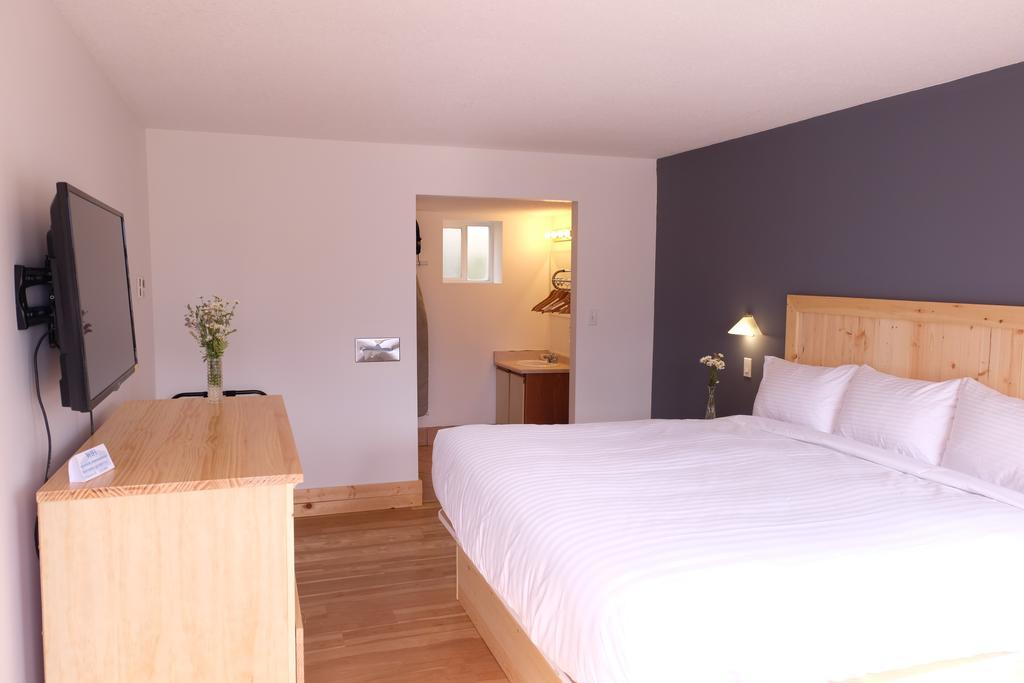 Executive Suite mit Queensize-Bett