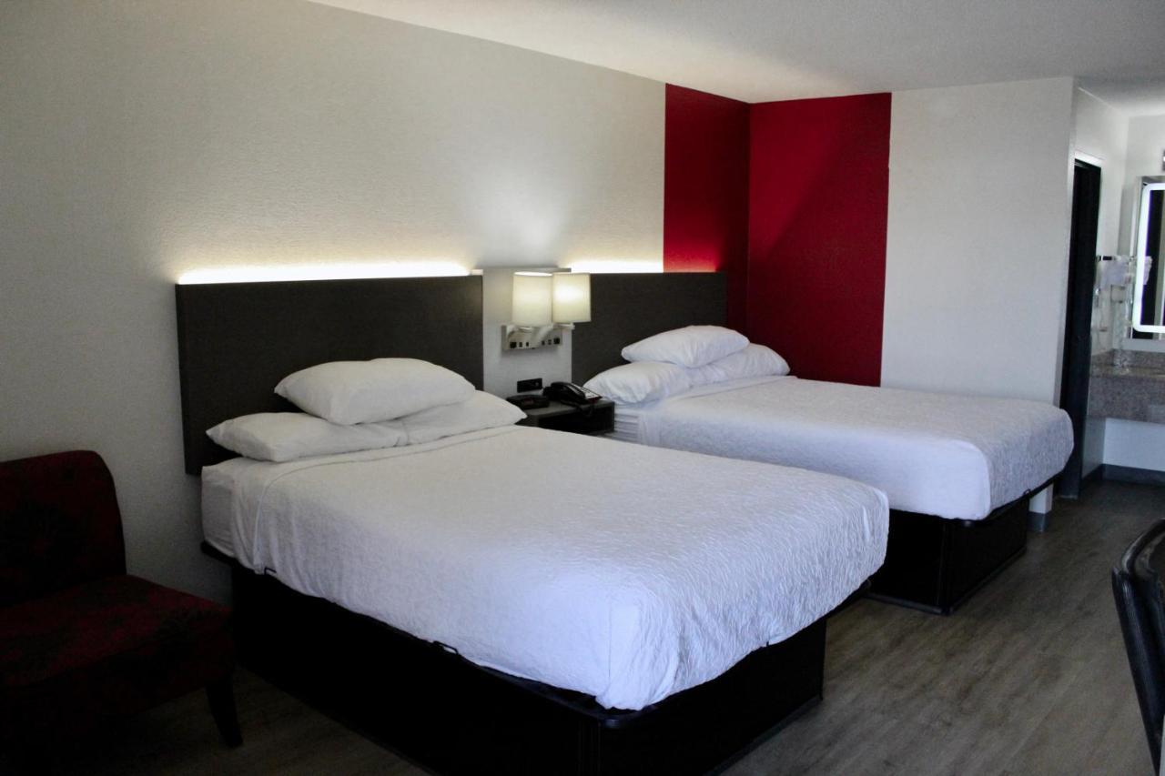 Double Room Two Double Beds Non-Smoking,1556299315:JPEG