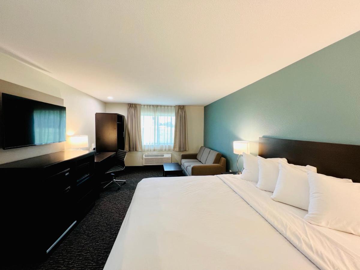 One Room Suite Sofa Non Smoking