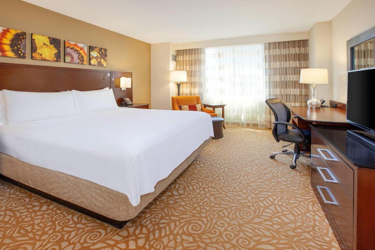 King Room Concierge Level,1430517373:JPEG