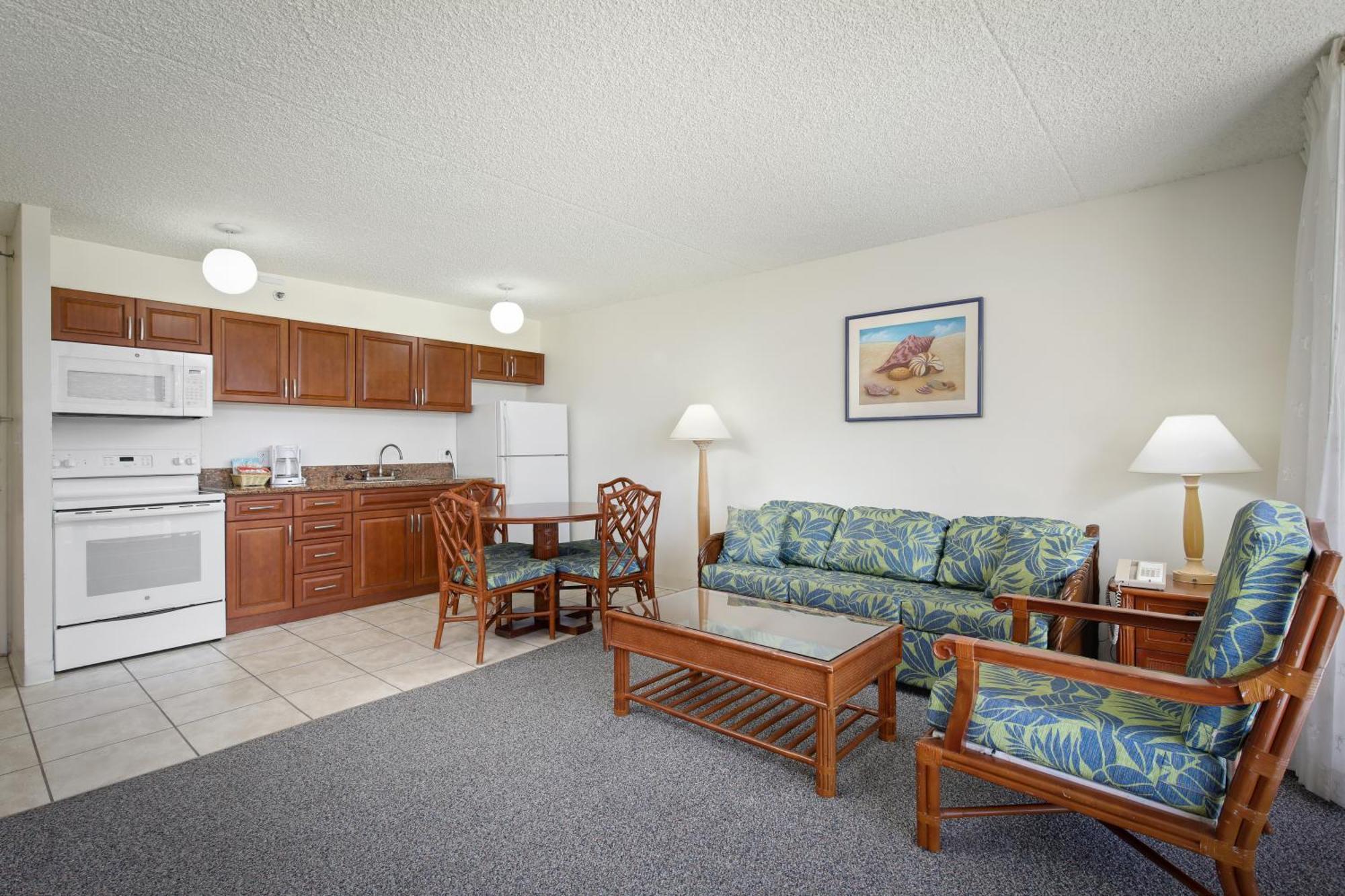 One-Bedroom Suite Mountain View
