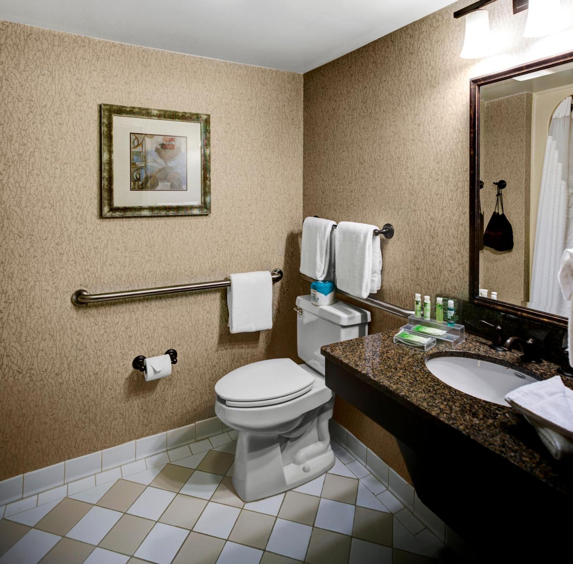 King Room Mobility Access or Hearing Accessible