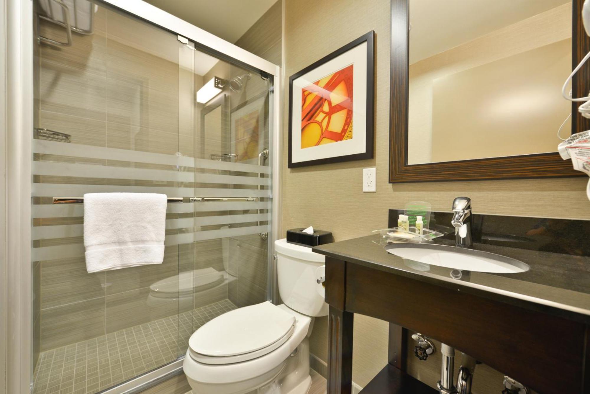 King Room Hearing Accessible or Non-Smoking