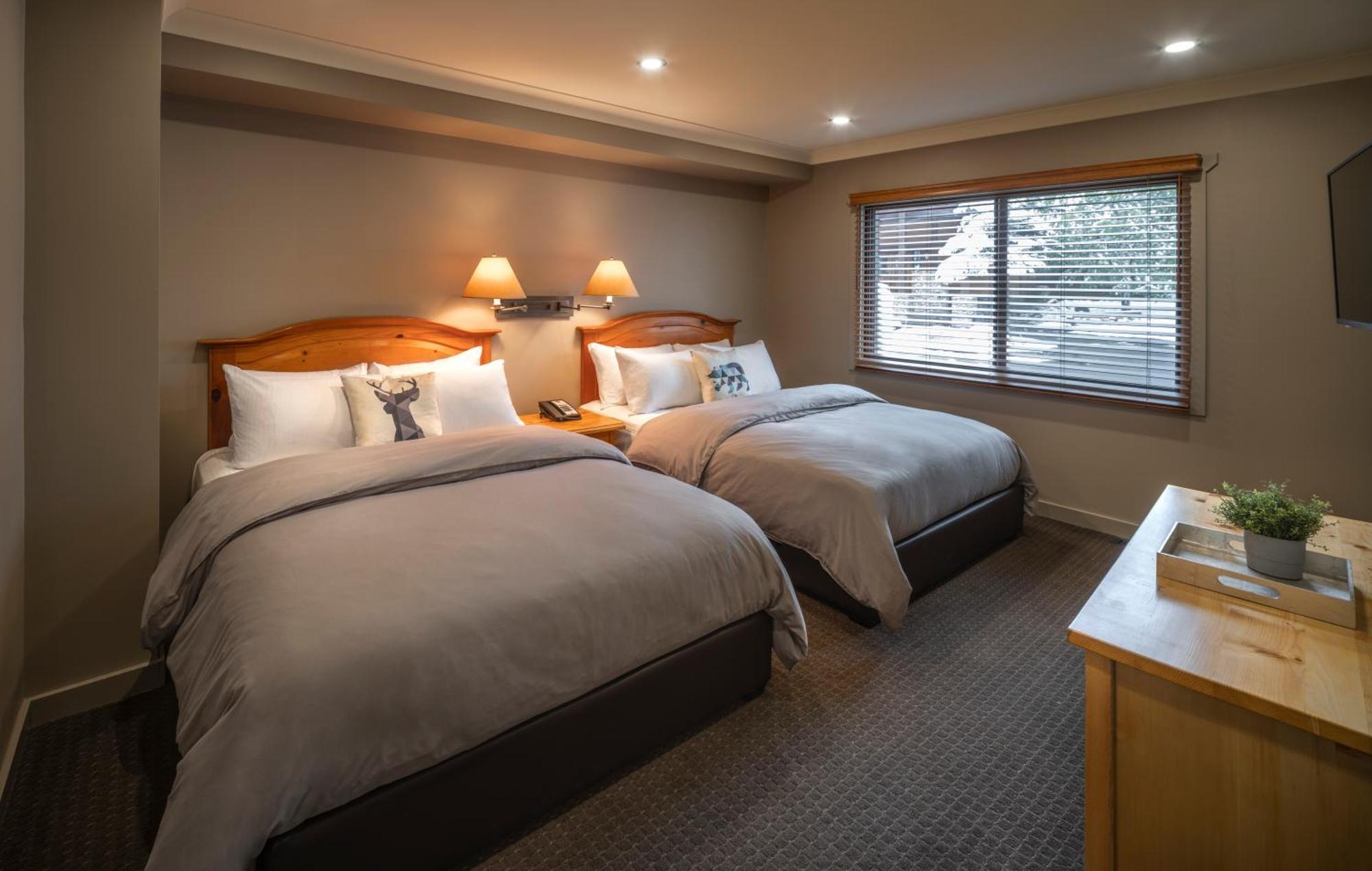 Buffalo 2 Queen beds Suite