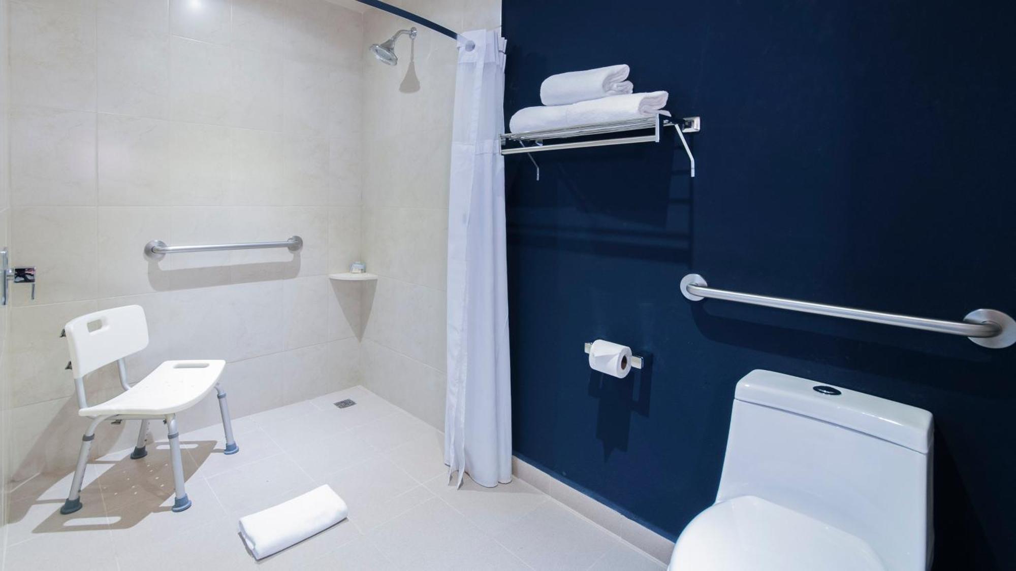 Standard King Room Disability Access