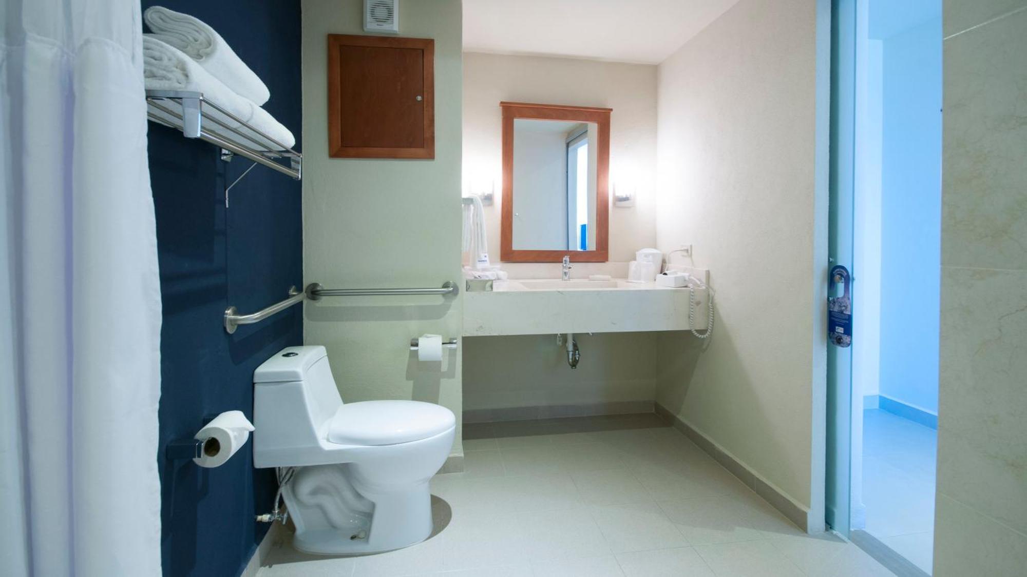 Standard King Room Disability Access