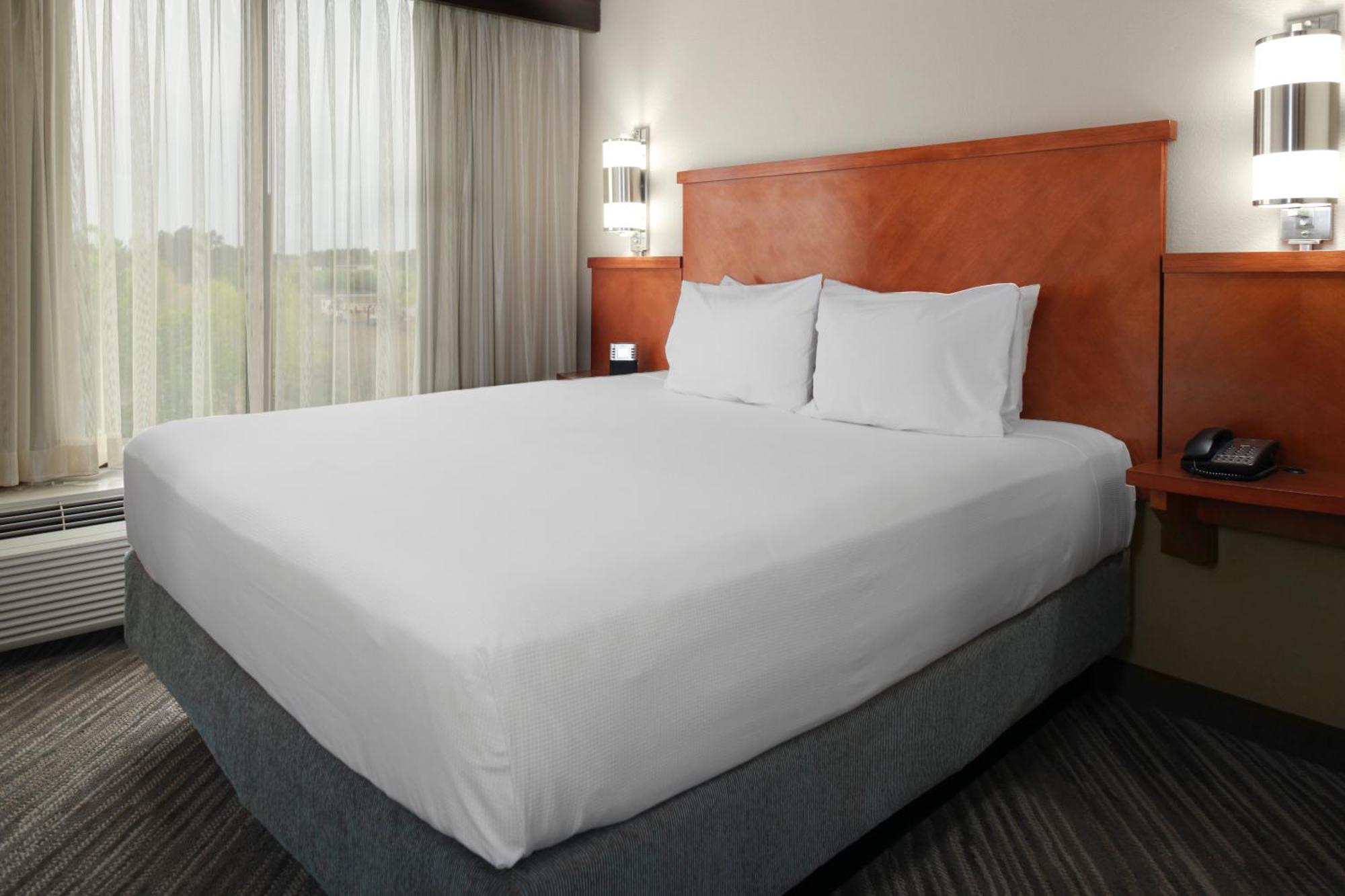 King Room Sofa Bed Accessible Tub Disability Access