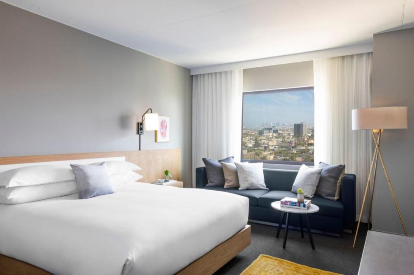 King Room with City View,1688839859:JPEG