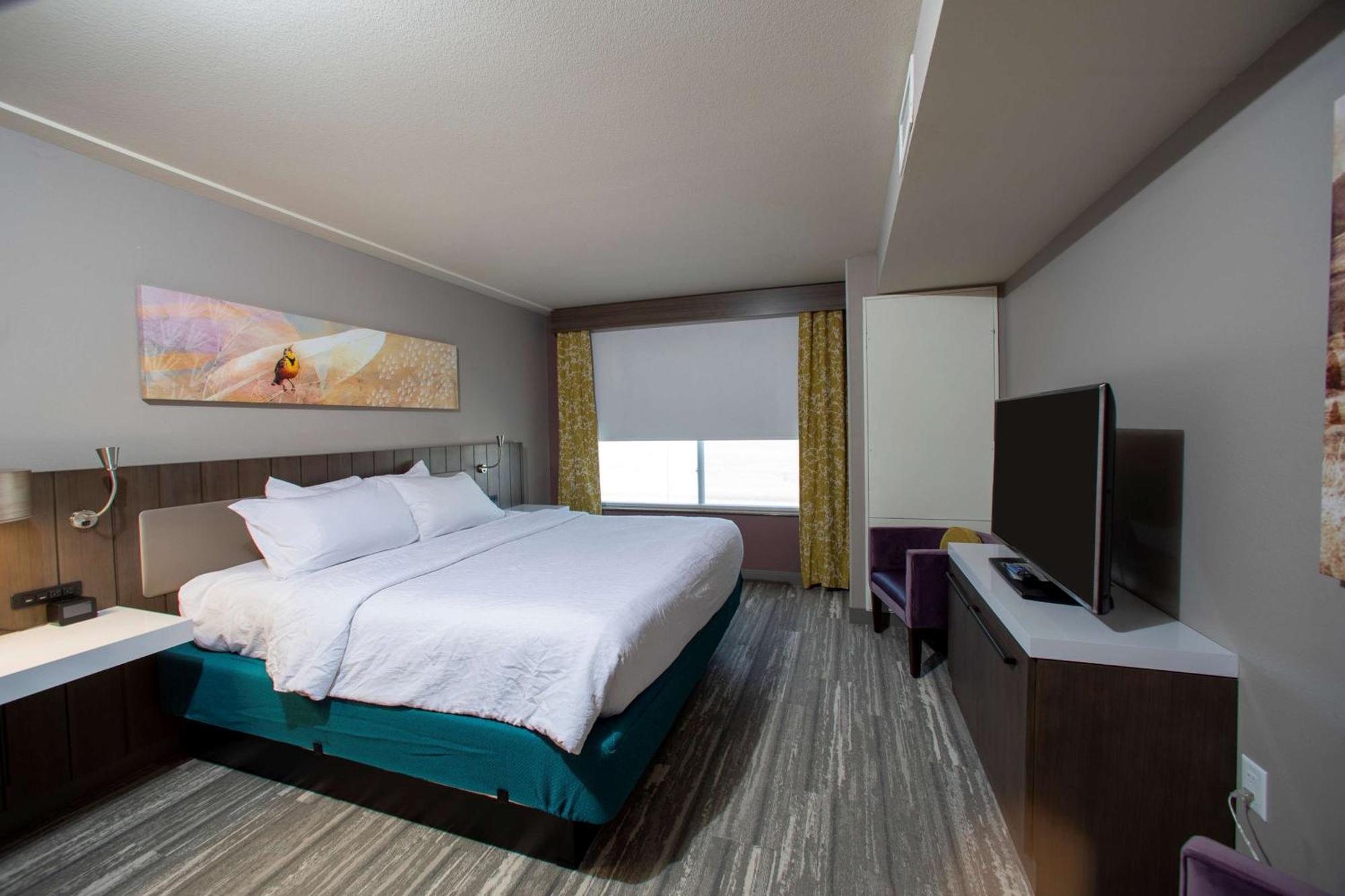 Junior King Suite with Sofa Bed