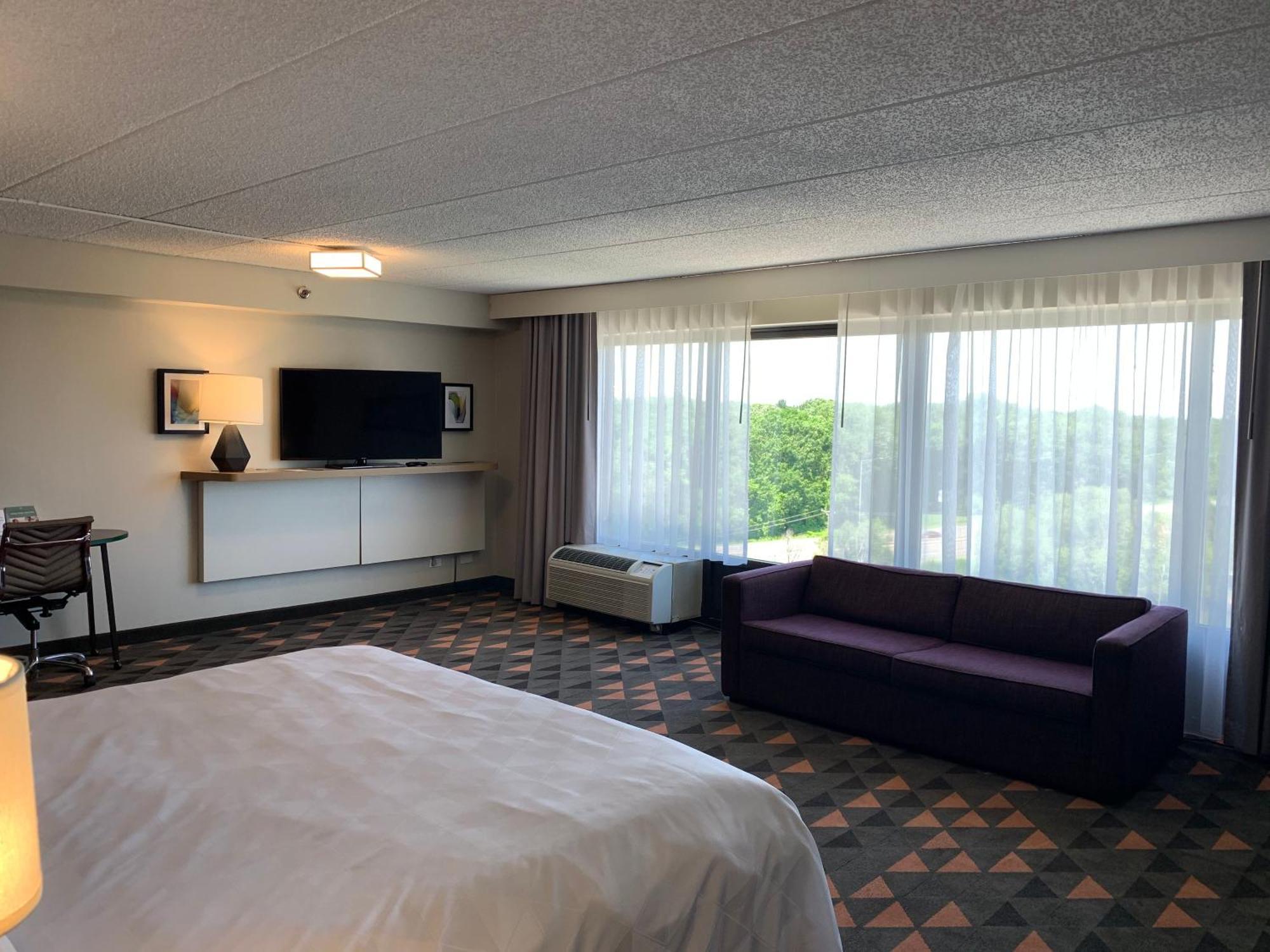 One-Bedroom King Suite