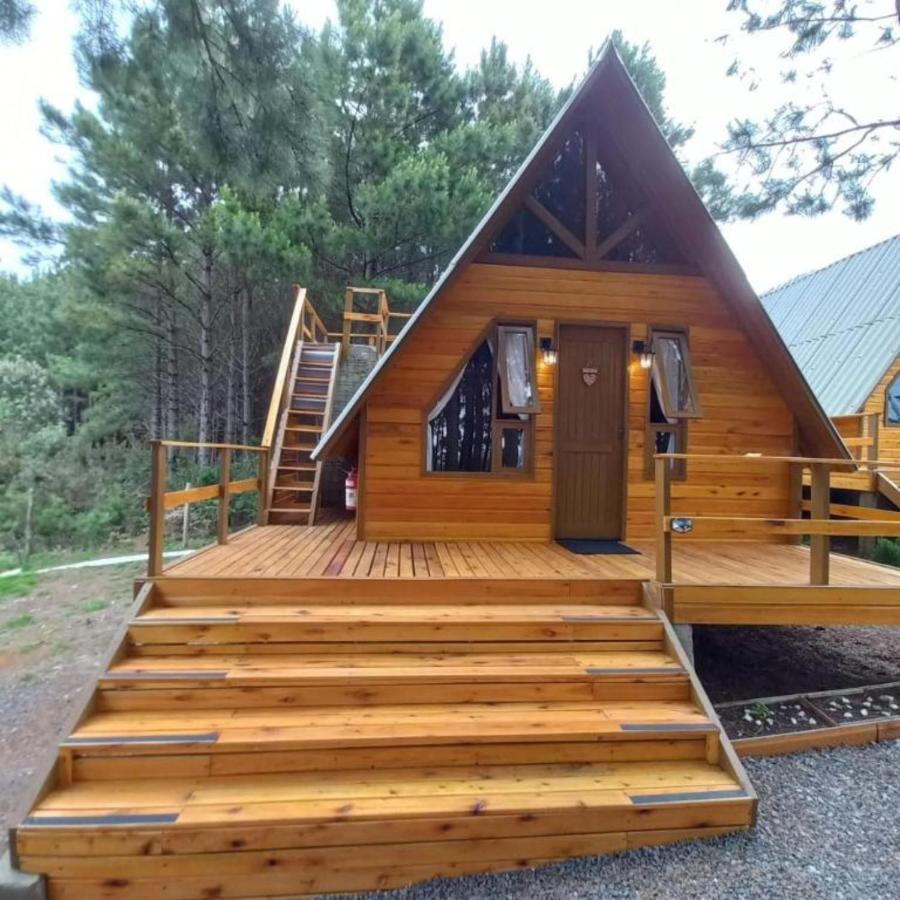One-Bedroom Suite,1766384226:JPEG