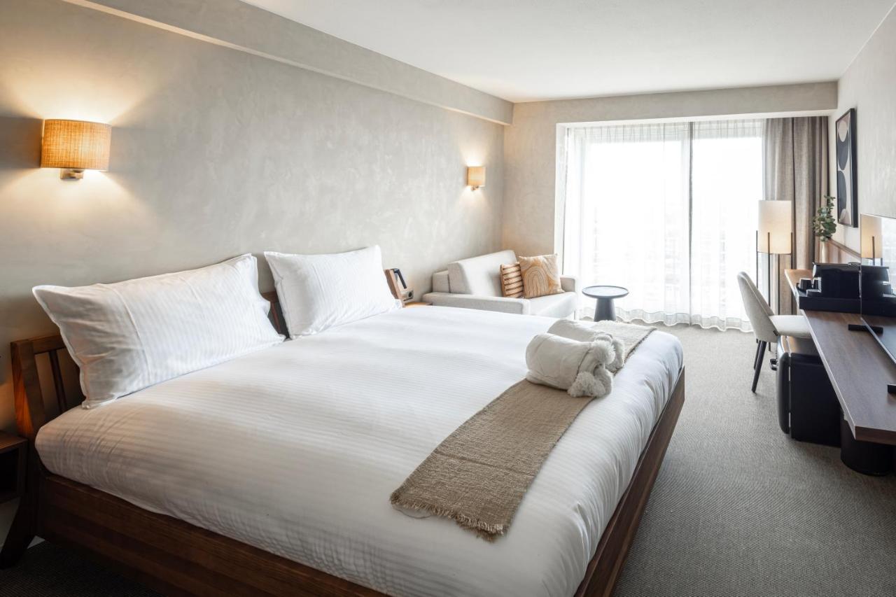Deluxe Double Room Harbour View Pet Room