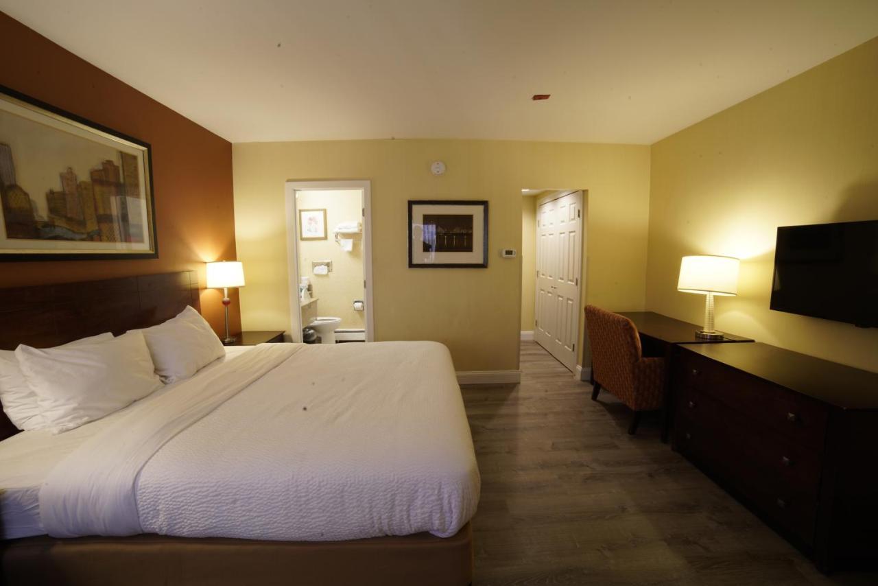 Superior King Room,1566908885:JPEG