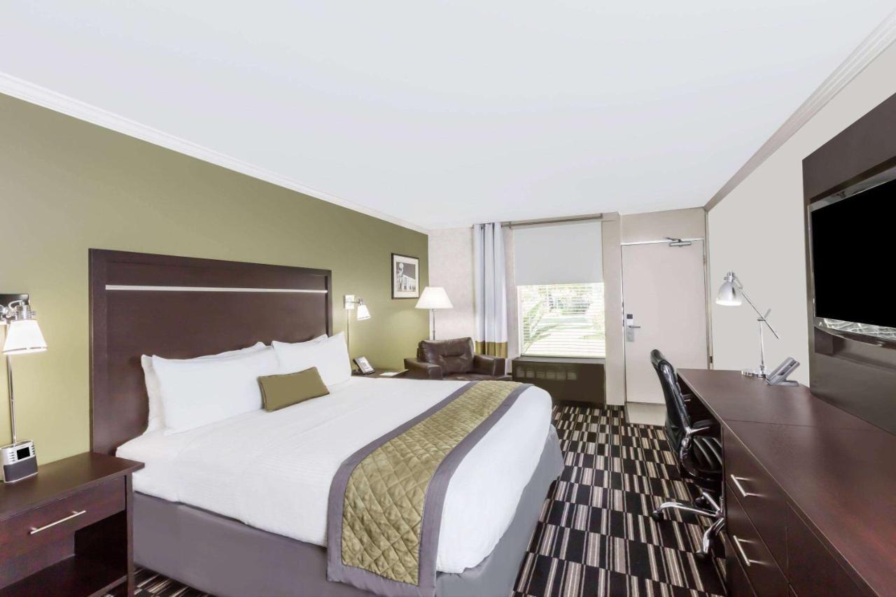 Standard King Room