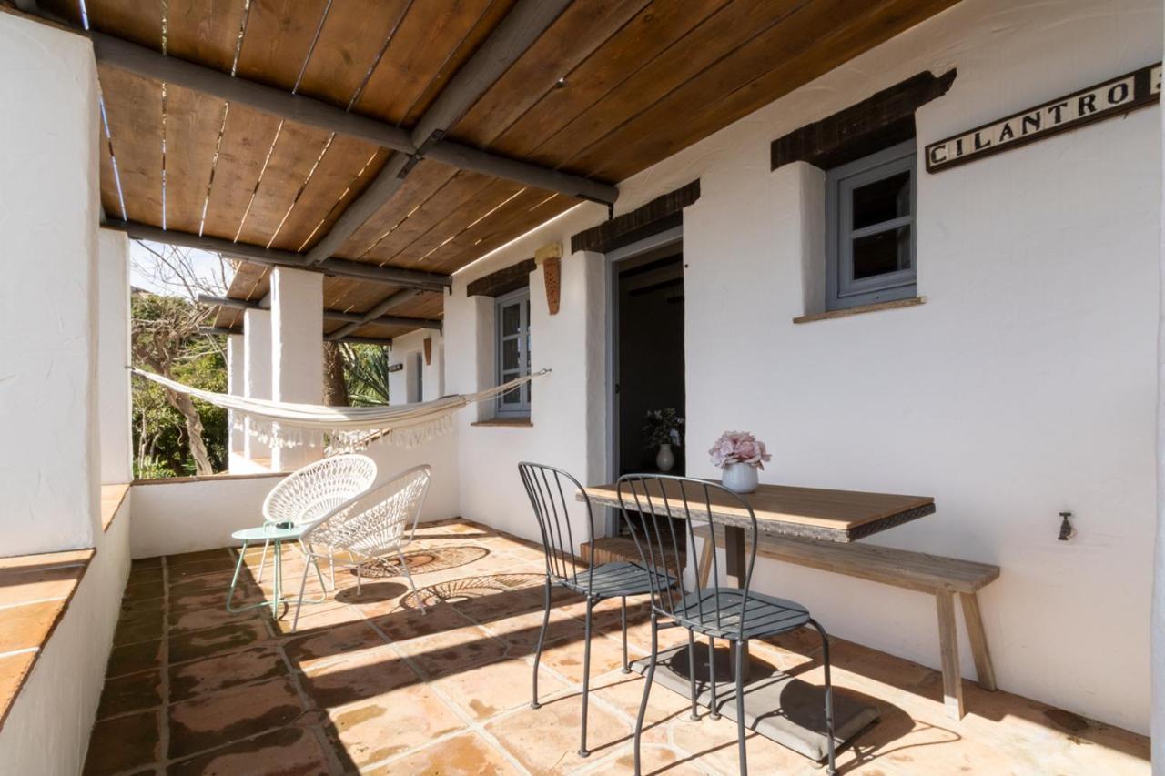 Apartment Terrace