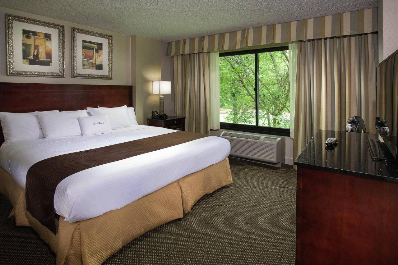 Non-Smoking Two Room King Suite,1523237098:JPEG