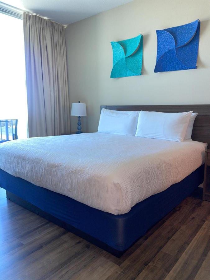 Studio Suite City View